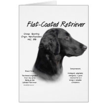 Flat-Coated Retriever History Design Cards