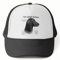 Flat-Coated Retriever History Design