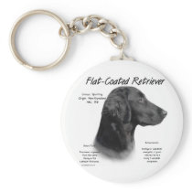 Flat-Coated Retriever History Design