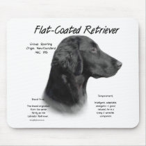 Flat-Coated Retriever History Design