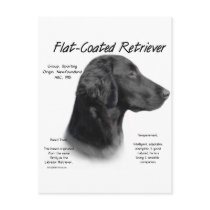 Flat-Coated Retriever History Design