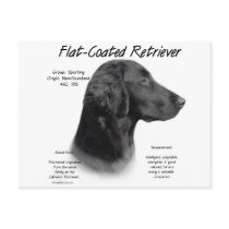 Flat-Coated Retriever History Design
