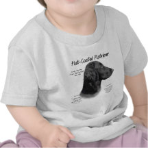 Flat-Coated Retriever History Design Tshirts