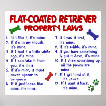 FLAT COATED RETRIEVER PL2 PRINT
