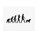 Flat-Coated Retriever postcards