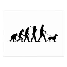 Flat-Coated Retriever Postcard