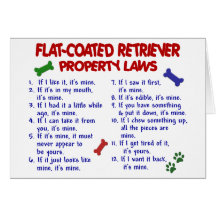 FLAT COATED RETRIEVER Property Laws 2 Cards