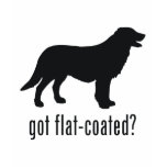 Flat-coated Retriever t-shirts