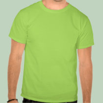 Flat Earth Historians t-shirts
