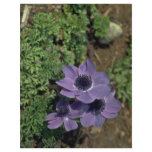 Flat Purple Flowers Flyer
