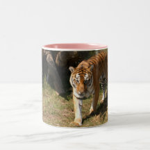 Flavio 002 mug