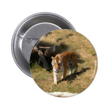 Flavio 002 pinback button