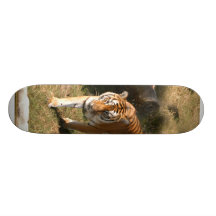 Flavio 002 skate board