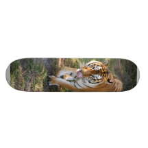 Flavio 012 skate decks