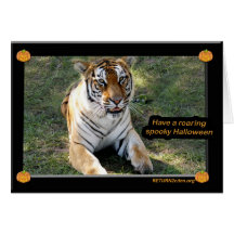 Flavio 015 greeting cards