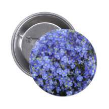 Flax Flowers at Longwood Gardens, Pennsylvania Buttons