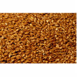 Flax seed photo sculptures