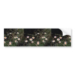 Fleabane Aster bumper stickers