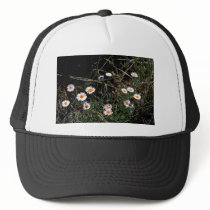 Fleabane Aster Trucker Hats