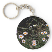 Fleabane Aster Key Chains