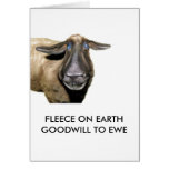 FLEECE ON EARTH cards