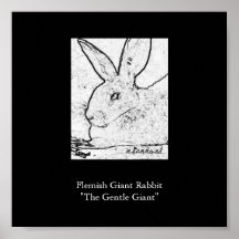 Flemish Giant Rabbit"The Gentle Giant" Poster
