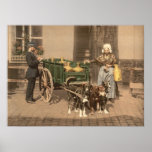 Flemish Milk Maid posters