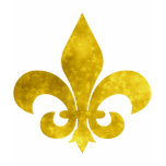 Fleur De Art Gold Rust t-shirts
