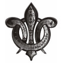 Fleur De Lis t-shirts