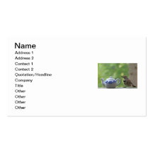 Flicker and a Teapot Business Card Templates