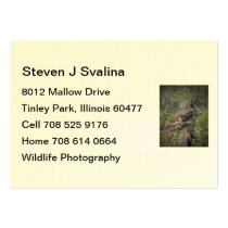 Flight Business Card