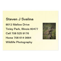 Flight Business Card