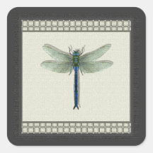 Flight of the Dragonfly Square Stickers