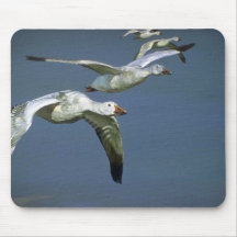 Flight of the Snow Geese Mouse Pads