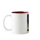 Flint Central High mugs