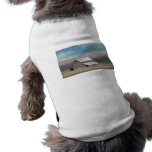 Flint Hills barn pet clothing