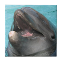Flipper  Tile