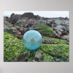 Float on sea weed print
