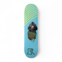 Floating Baboon Skateboards