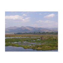 Floating Gardens on Inle Lake Postcard