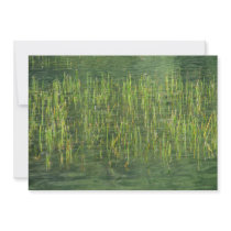Floating Grasses Custom Announcements