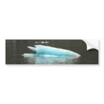 Floating Iceberg