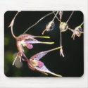floating orchids mousepads