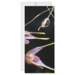 floating orchids rack cards