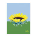 Floating Sunflower postcards