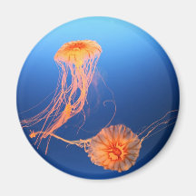 Floating Together Fridge Magnet
