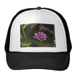 Floating Wildflower Trucker Hat