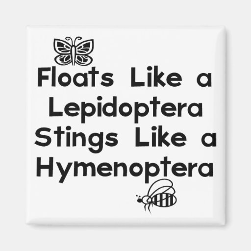 Floats Lepidoptera Fridge Magnets