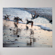 Flock of Birds Poster