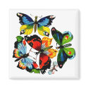 Flock Of Butterflies magnets